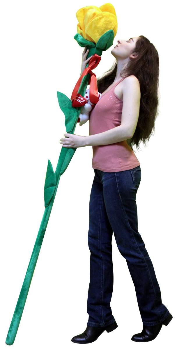 The largest and most colorful LIVE fresh cut Red Roses and Rainbow Roses in the worls, as well as the largest plush roses in the world Big Plush The largest and most colorful LIVE fresh cut Red Roses and Rainbow Roses in the worls, as well as the largest plush roses in the world Big Plush
