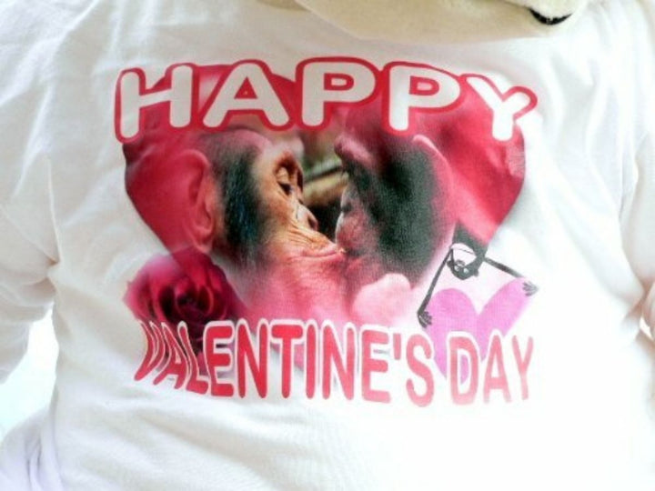 6 Foot Giant Stuffed Valentine Gorilla 72 Inches Valentines Day Plush Monkey