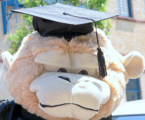 Add a GRADUATION CAP