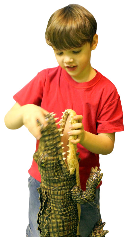 Large Stuffed Alligator 34 inches Long Big Plush Realistic Stuffed Animal High Quality