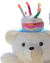Add a Birthday Cake Hat to YOUR Big Plush Animal
