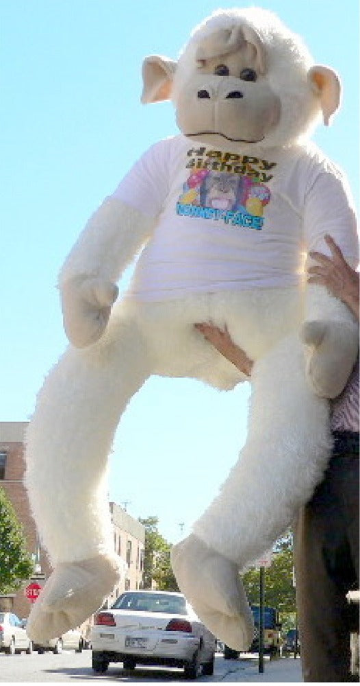 American Made 6 Feet Tall Giant Stuffed Monkey Wearing Hilarious Tshirt That Says Happy Birthday Monkey Face Made in the USA America